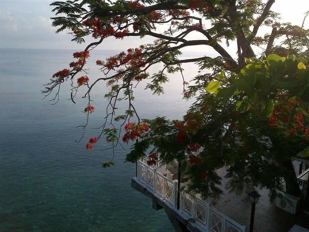 Hibiscus Lodge Hotel Ocho Rios