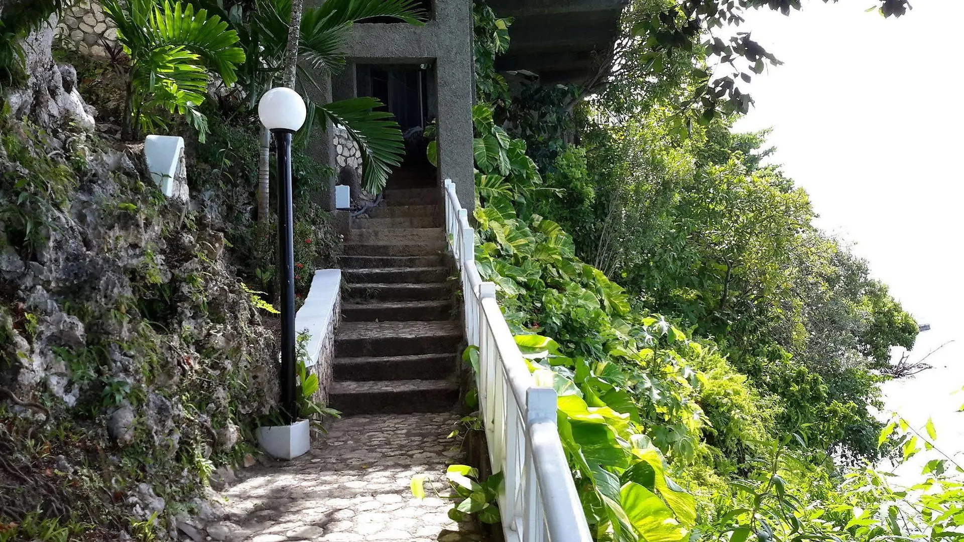 Hibiscus Lodge Hotel Ocho Rios 3*,  Jamaica