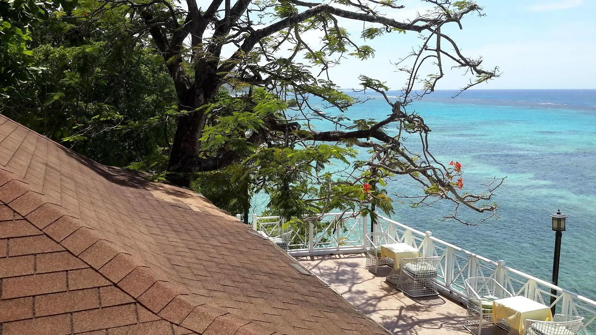 Hibiscus Lodge Hotel Ocho Rios